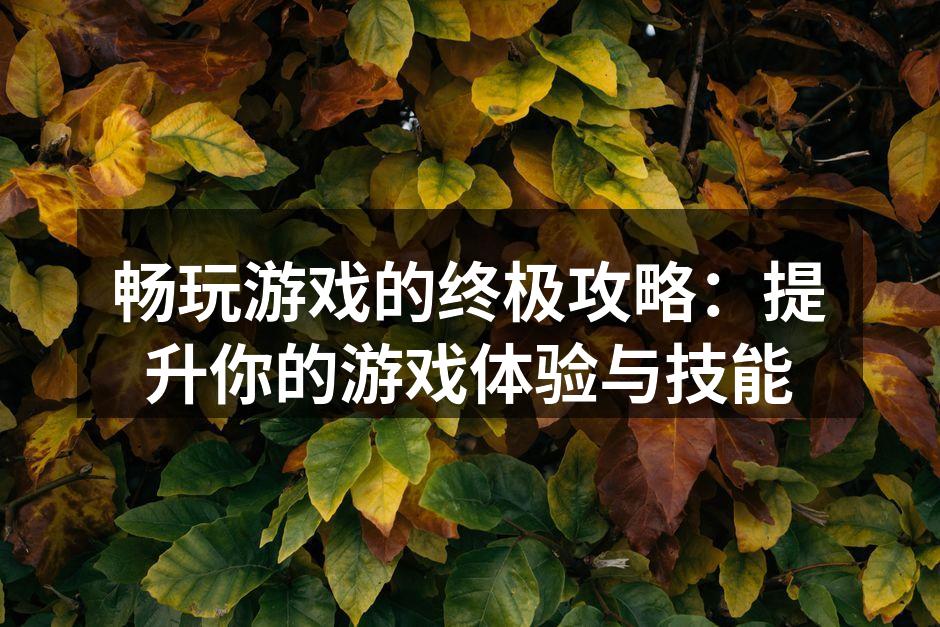 畅玩游戏的终极攻略：提升你的游戏体验与技